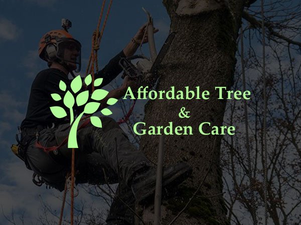 affordabletreecare website